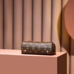 Louis Vuitton Cluny Mini Brown For Women 20cm / 7.9in M46055