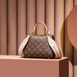Louis Vuitton Cluny Mini Brown For Women 20cm / 7.9in M46055