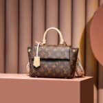 Louis Vuitton Cluny Mini Brown For Women 20cm / 7.9in M46055