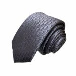 Dior Oblique Tie Grey For Men