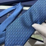 Dior Oblique Tie Blue For Men