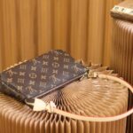 Louis Vuitton Pochette Accessoires Brown For Women 23.5cm / 9.3in M40712