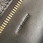 Celine Wiltern Clutch Triomphe Soft Black/Brown For Women 31.5cm / 12in 113673FFJ.19BR