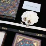 Dior Butterfly Jadior Earrings Gold For Women