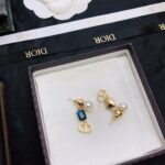 Dior CD Earrings Blue For Women