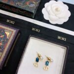 Dior CD Earrings Blue For Women