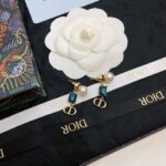 Dior CD Earrings Blue For Women