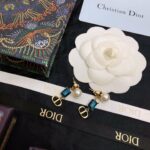 Dior CD Earrings Blue For Women