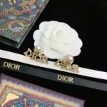 Dior Letter Earrings Gold For Women