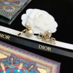 Dior Letter Earrings Gold For Women