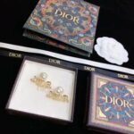 Dior Letter Earrings Gold For Women