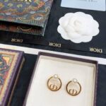 Dior Round CD Earrings Gold For Women