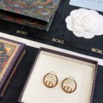 Dior Round CD Earrings Gold For Women