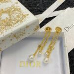 Dior Star Earrings Gold For Women