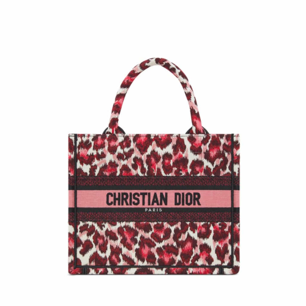 SMALL DIOR BOOK TOTE