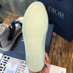 Dior Peter Doig B23 High Top Sneaker Grey For Men