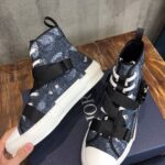 Dior Peter Doig B23 High Top Sneaker Black For Men