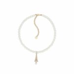 Christian Dior Plan De Paris Choker For Women - N2364WOMRS_D301