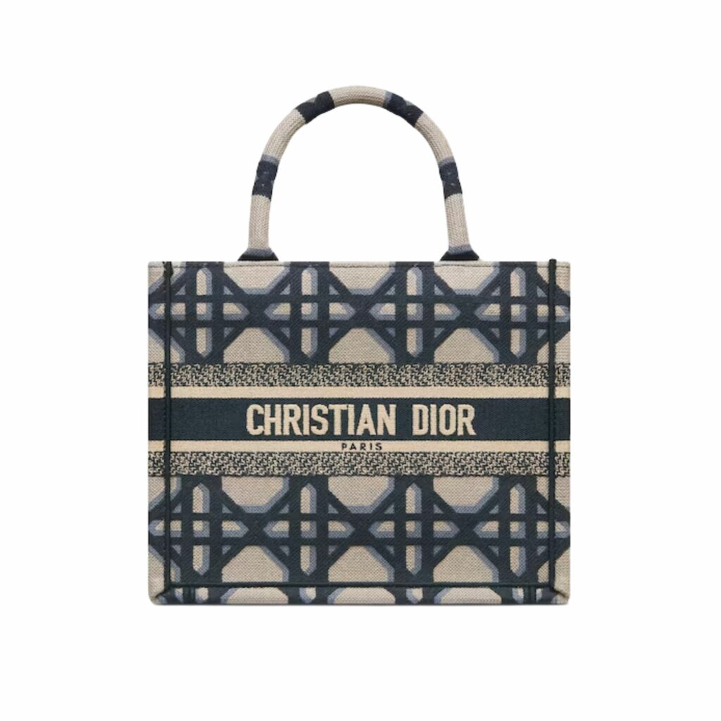 Small Dior Tote Bag