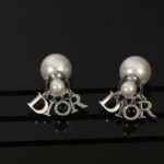 Dior Tribales Earrings Silver For Women