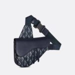 Christian Dior Saddle Bag For Men 1ADPO093CDP_H36B - 10 Inches/ 26 Cm