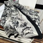 Dior Cashmere Long Scarf White For Women