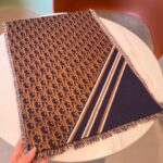 Dior Double Sided Scarf Multicolor For Women