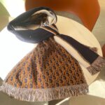 Dior Double Sided Scarf Multicolor For Women