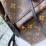 Louis Vuitton Montsouris BB Backpack Black For Women 13IN/ 33cm M45515