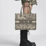 Christian Dior Medium Dior Book Tote Bag For Women M1296ZOMP_M918 - 14 Inches/ 36 Cm