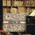 Christian Dior Medium Dior Book Tote Bag For Women M1296ZOMP_M918 - 14 Inches/ 36 Cm