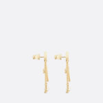 Christian Dior Petit CD Earrings For Women- E2424WOMCY_D03S