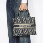 Christian Dior Small Dior Tote Beige And Blue Bag For Women M1265ZZAU_M928- 10.5 Inches/ 26.5 Cm