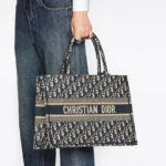 Christian Dior Medium Dior Book Tote Beige And Blue Bag For Women M1296ZZAU_M928- 14 Inches/ 36 Cm