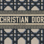 Christian Dior Medium Dior Book Tote Beige And Blue Bag For Women M1296ZZAU_M928- 14 Inches/ 36 Cm