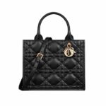Christian Dior Small Dior Book Tote Bag Black For Women M1325OWHP_M900 - 26.5 Cm/ 10.5 Inches