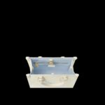 Louis Vuitton OnTheGo PM Bag For Women M46833- 25 Cm/ 9.8 Inches