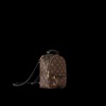 Louis Vuitton Palm Springs Mini Backpack For Women M44873- 8.7 in/ 22 cm