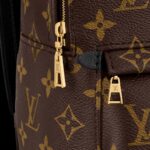 Louis Vuitton Palm Springs Mini Backpack For Women M44873- 8.7 in/ 22 cm
