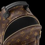 Louis Vuitton Palm Springs Mini Backpack For Women M44873- 8.7 in/ 22 cm