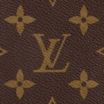Louis Vuitton Palm Springs Mini Backpack For Women M44873- 8.7 in/ 22 cm