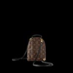 Louis Vuitton Palm Springs Mini Backpack For Women M44873- 8.7 in/ 22 cm