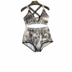 Dior Swimsuit Complex Pattern Two Pieces Grey For Women
