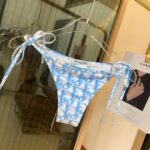 Dior Swimsuit Oblique Blue For Women