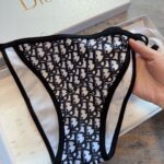 Dior Swimsuit Oblique Black For Women