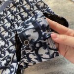 Dior Swimsuit Long Sleeves Oblique Blue For Women