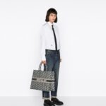 Dior Large Dior Book Tote Blue For Women 16.5 Inches/ 42 Cm M1286ZRIW_M828
