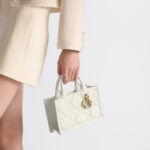 Dior Mini Dior Book Tote White For Women 8.5 Inches/ 21.5 Cm S5573OWHP_M030