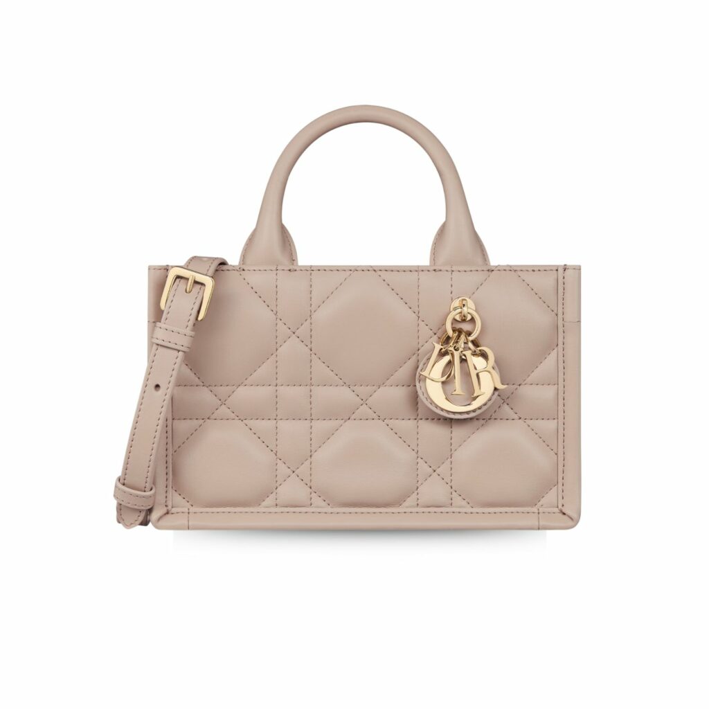 Dior Mini Dior Book Tote