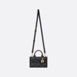 Dior Mini Dior Book Tote Black For Women 8.5 Inches/ 21.5 Cm S5573OWHP_M900